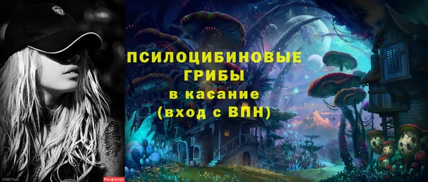 эйфоретик Алексин